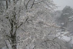IMG_0375