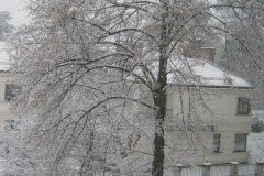 IMG_0383