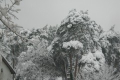 IMG_0385