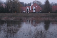 IMG_0420