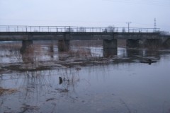 IMG_0424