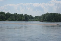 IMG_0503