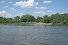 IMG_0517