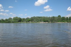 IMG_0520