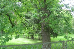 IMG_0708