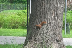 IMG_0686