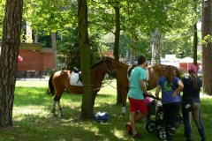 P1170795