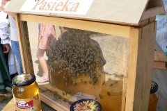 P1170906