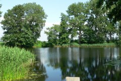 P1190058