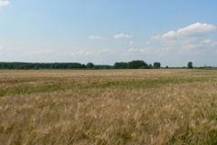 P1190059
