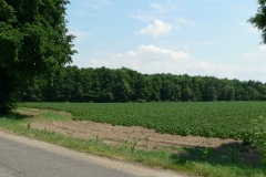 Obory_0052