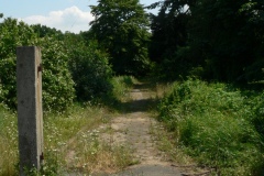 Obory_0054