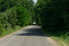 Obory_0057