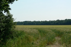 Obory_0058