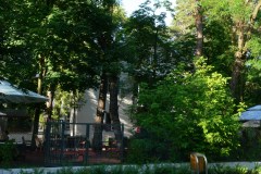 parkzdrojowy_006