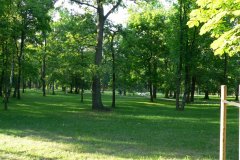 parkzdrojowy_028