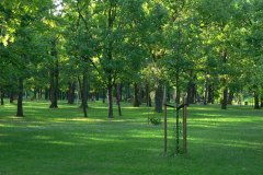 parkzdrojowy_030