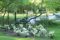 parkzdrojowy_034