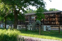parkzdrojowy_040