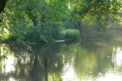 parkzdrojowy_048