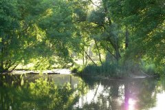 parkzdrojowy_049