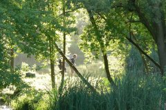 parkzdrojowy_050