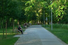 parkzdrojowy_052