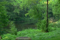 parkzdrojowy_054