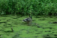parkzdrojowy_061
