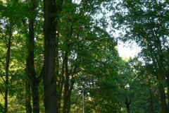 parkzdrojowy_068