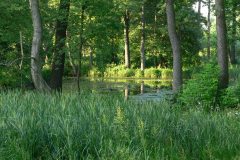 parkzdrojowy_069