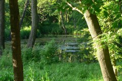 parkzdrojowy_070