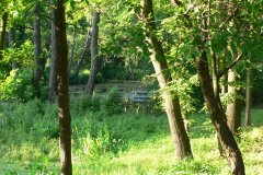 parkzdrojowy_071