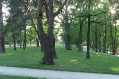 parkzdrojowy_073
