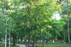 parkzdrojowy_074