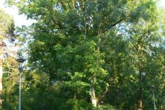 parkzdrojowy_082