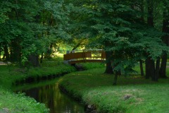 parkzdrojowy_092