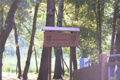 parkzdrojowy_101