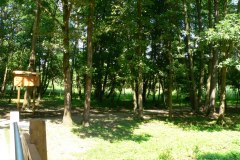 parkzdrojowy_103