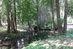 parkzdrojowy_104