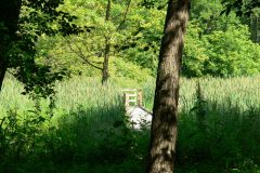 parkzdrojowy_105