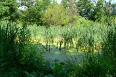parkzdrojowy_106