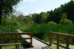 parkzdrojowy_107