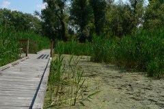 parkzdrojowy_108