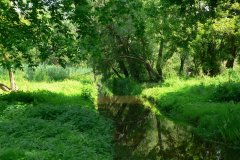 parkzdrojowy_111