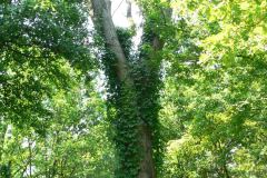 parkzdrojowy_112