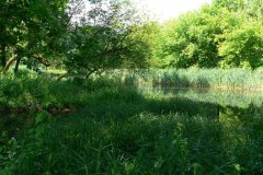 parkzdrojowy_113