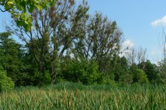 parkzdrojowy_114