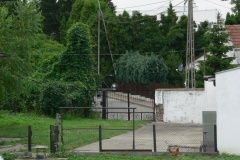 Krzywa_003