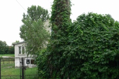 Krzywa_009